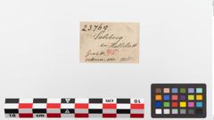 Etiketten zu Eisengriffangelmesser (NHMW-PRAE-023769)